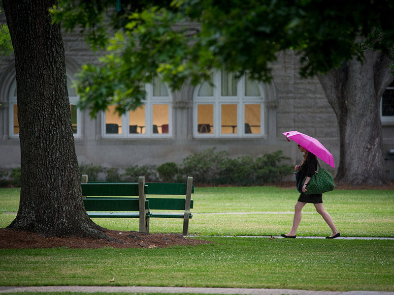 A girl walks across campus in the rain with a pink umbrella. 